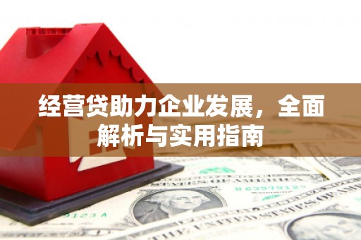 定州经营贷助力企业发展，全面解析与实用指南
