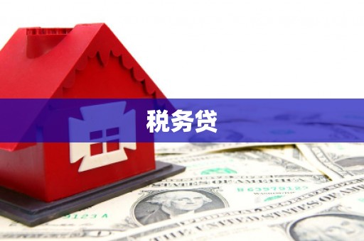 定州税务贷