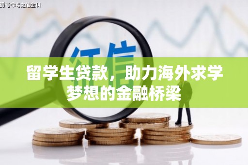 定州留学生贷款，助力海外求学梦想的金融桥梁