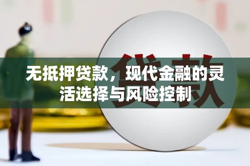 定州无抵押贷款，现代金融的灵活选择与风险控制