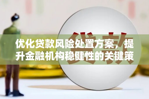 定州优化贷款风险处置方案，提升金融机构稳健性的关键策略