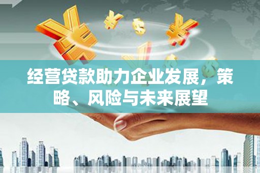 定州经营贷款助力企业发展，策略、风险与未来展望