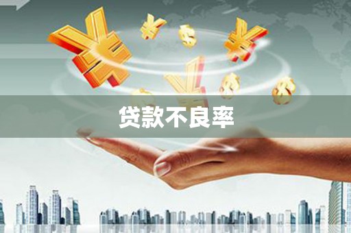 定州贷款不良率