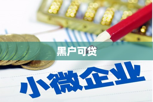 定州黑户可贷