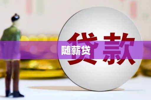 定州随薪贷