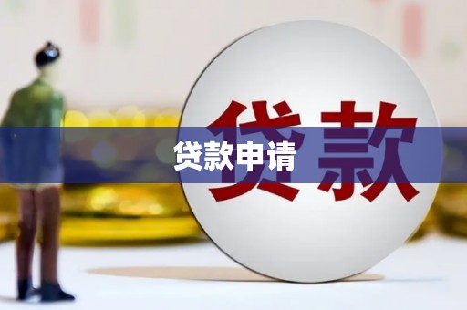 定州贷款申请
