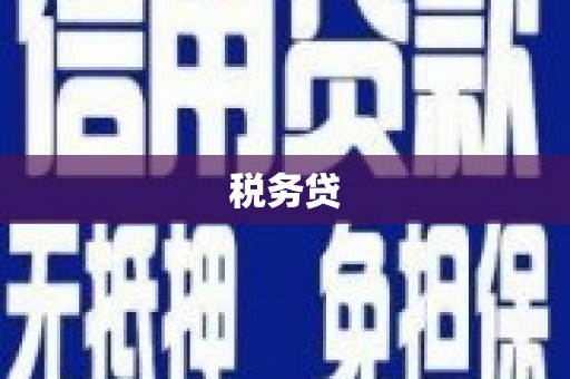 定州税务贷