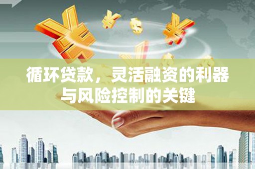 定州循环贷款，灵活融资的利器与风险控制的关键