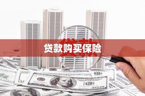 定州贷款购买保险