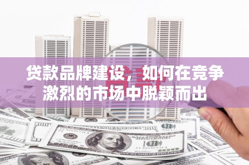 定州贷款品牌建设，如何在竞争激烈的市场中脱颖而出