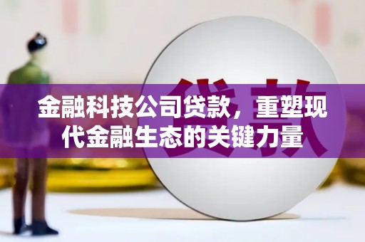 定州金融科技公司贷款，重塑现代金融生态的关键力量
