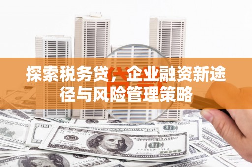 定州探索税务贷，企业融资新途径与风险管理策略