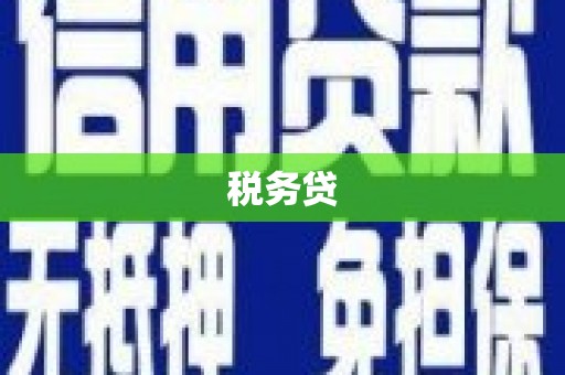 定州税务贷
