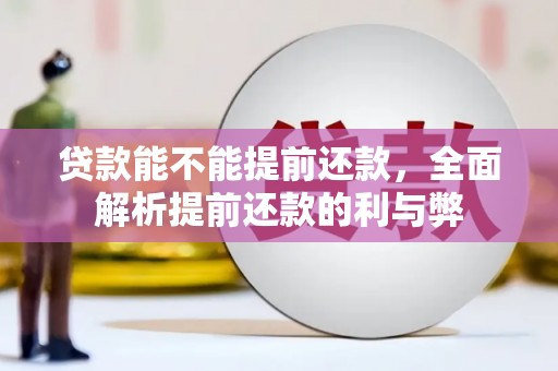 定州贷款能不能提前还款，全面解析提前还款的利与弊