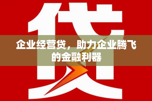 定州企业经营贷，助力企业腾飞的金融利器