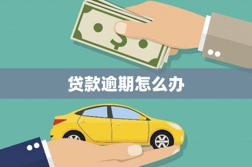 定州贷款逾期怎么办