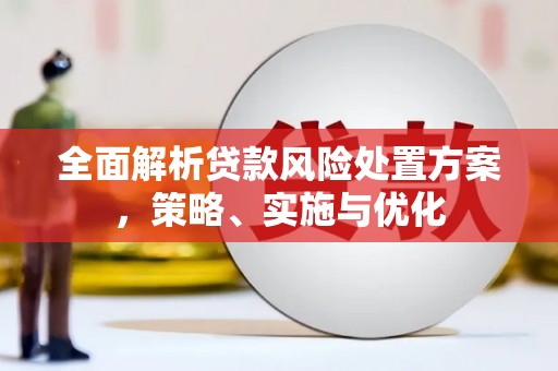 定州全面解析贷款风险处置方案，策略、实施与优化