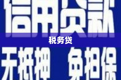 定州税务贷