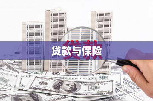 定州贷款与保险