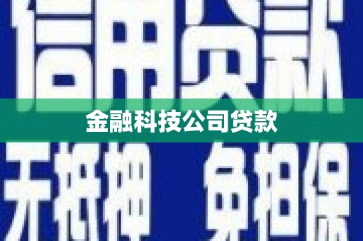 定州金融科技公司贷款