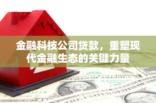 定州金融科技公司贷款，重塑现代金融生态的关键力量