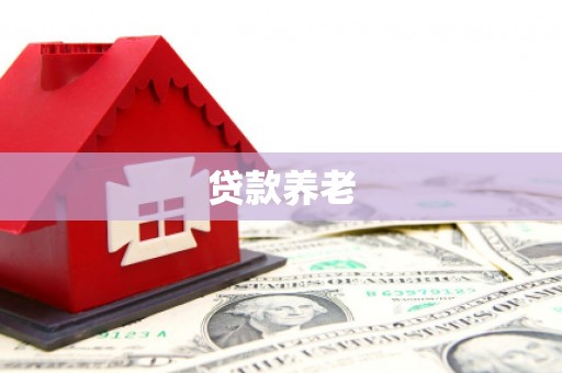 定州贷款养老
