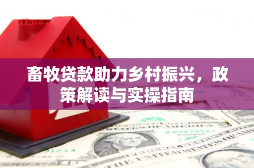 定州畜牧贷款助力乡村振兴，政策解读与实操指南