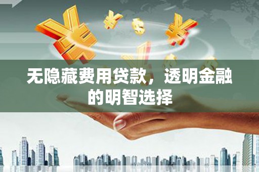 定州无隐藏费用贷款，透明金融的明智选择