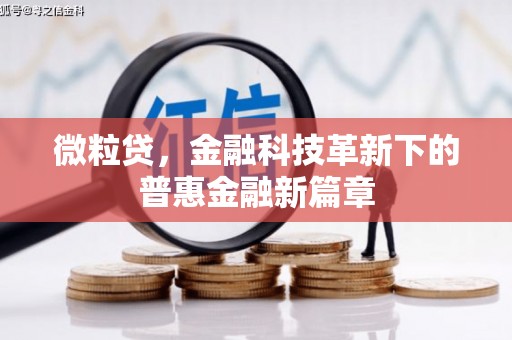 定州微粒贷，金融科技革新下的普惠金融新篇章
