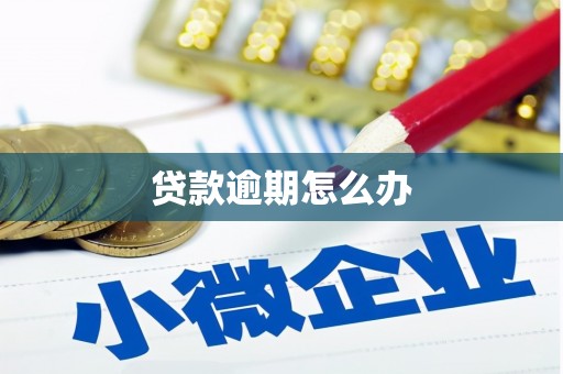 定州贷款逾期怎么办