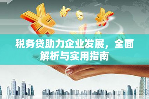 定州税务贷助力企业发展，全面解析与实用指南