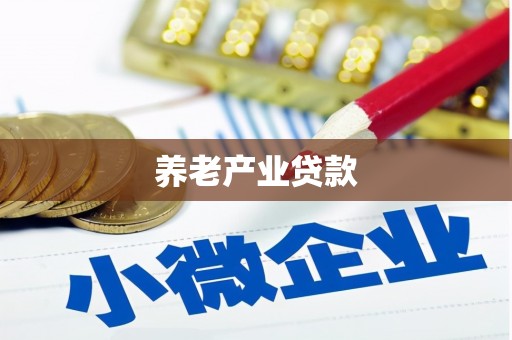 定州养老产业贷款