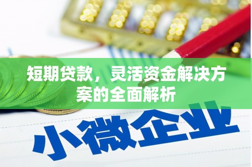 定州短期贷款，灵活资金解决方案的全面解析