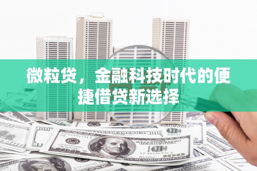 定州微粒贷，金融科技时代的便捷借贷新选择