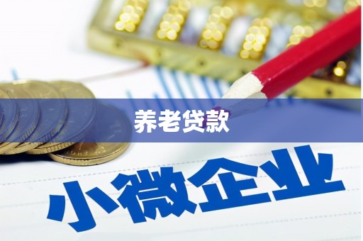 定州养老贷款