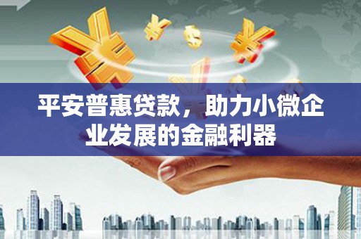 定州平安普惠贷款，助力小微企业发展的金融利器