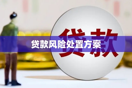 定州贷款风险处置方案