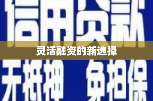 定州灵活融资的新选择