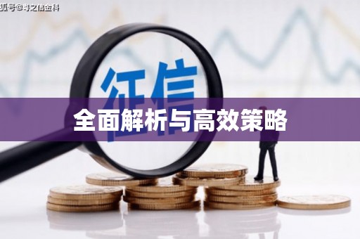 定州全面解析与高效策略