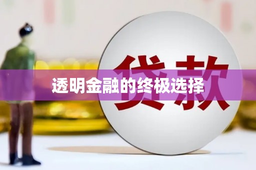 定州透明金融的终极选择