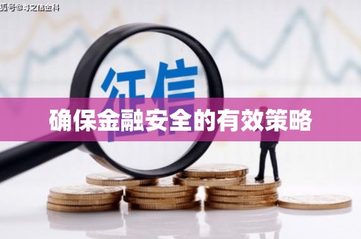 定州确保金融安全的有效策略