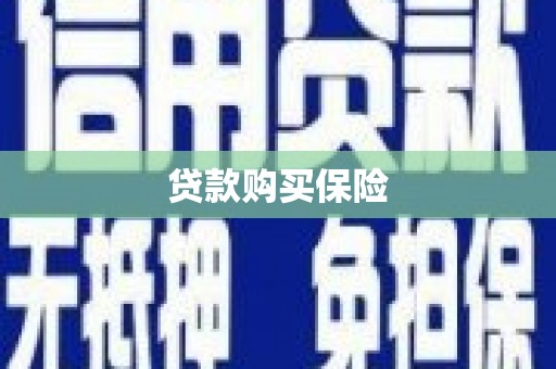 定州贷款购买保险