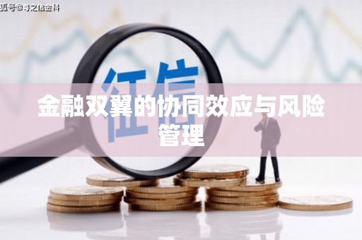 定州金融双翼的协同效应与风险管理