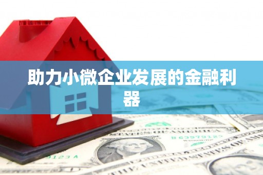 定州助力小微企业发展的金融利器