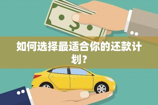 定州如何选择最适合你的还款计划？