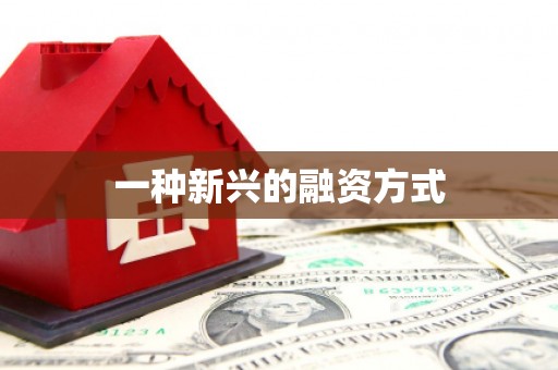 定州一种新兴的融资方式