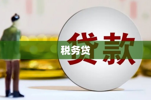 定州税务贷